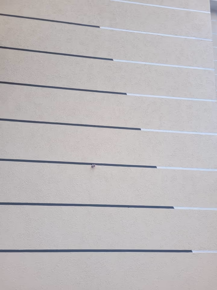 Graffiato réalisé par MEG Construction. Le rayage à la truelle.